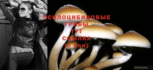 тгк Новокубанск