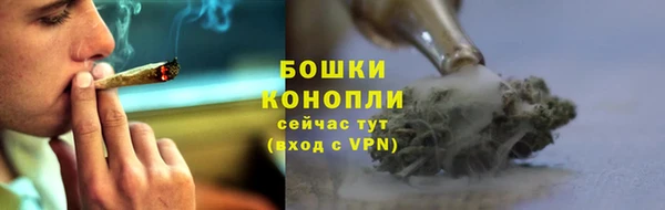 ГАЛЛЮЦИНОГЕННЫЕ ГРИБЫ Новодвинск